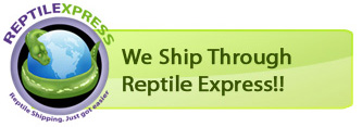Our Preferred Shipping Company