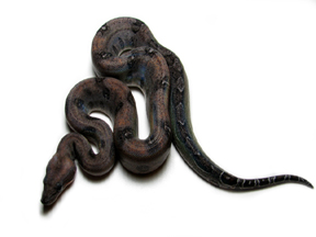MALE